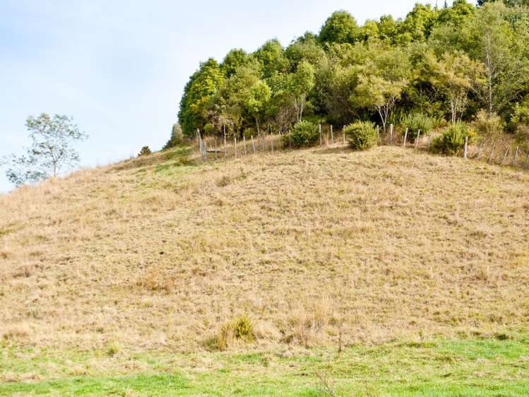 51 Parkdale Drive Aramoho_7