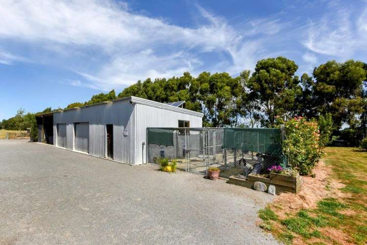 247 The Lake Road Leeston_22