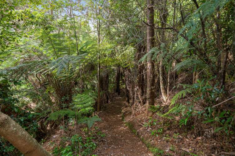 1125 Whangaparaoa Road Tindalls Beach_13