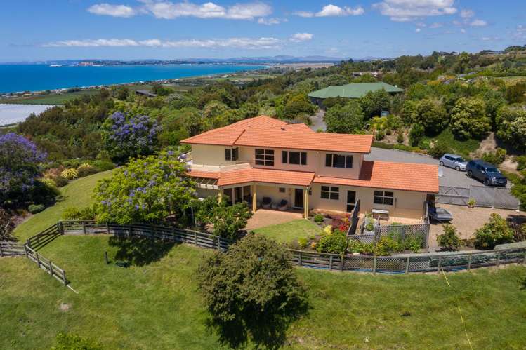 11 Kaimata Road Bay View_21