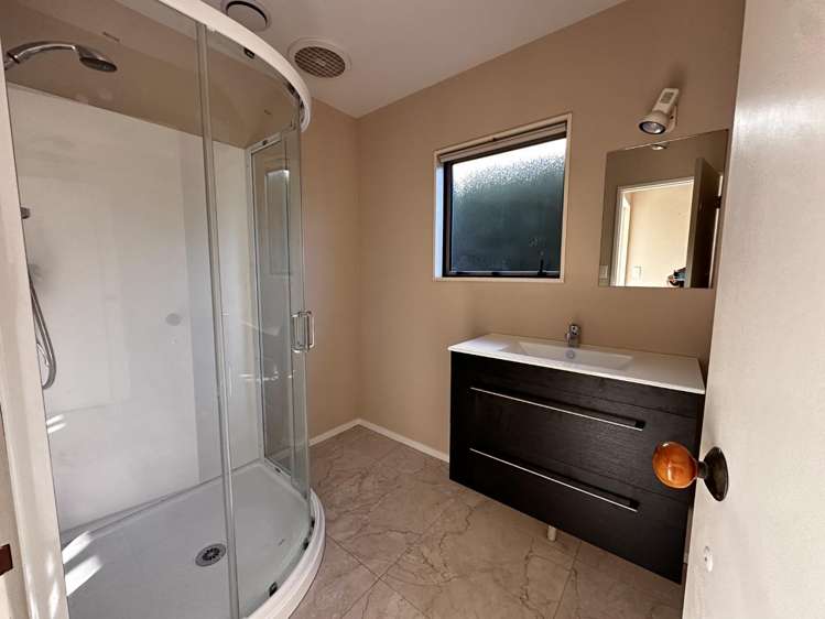 2 Williams Street 11210_9
