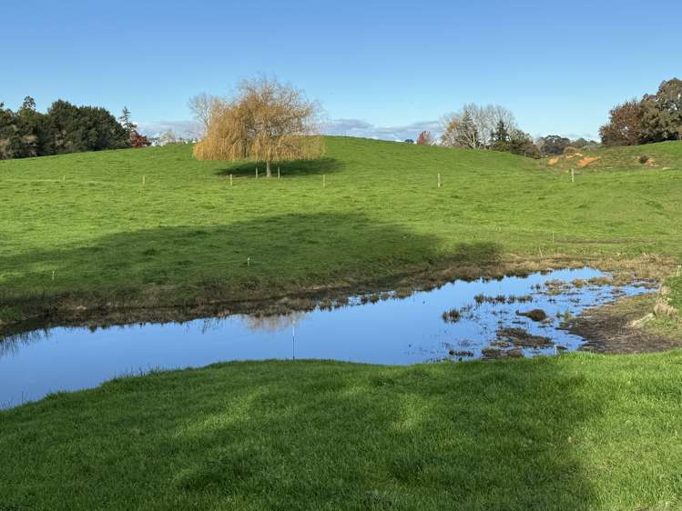 2070 Kakaramea Road Ngahinapouri_29