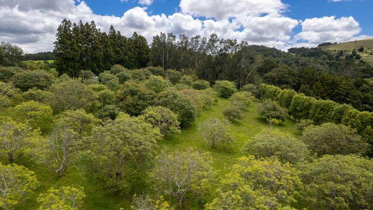 5631 State Highway 12 Kaikohe_25