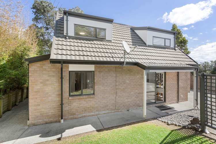 30b Chalmers Street Avondale_1