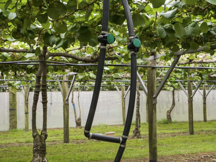 151 Beach Road Katikati_29