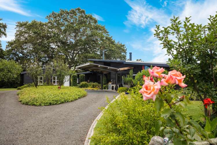 1559 Kahikatea Flat Road Kaukapakapa_15