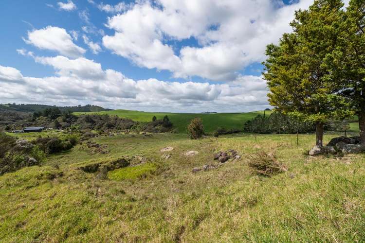 183A Wiroa Road Kerikeri_11