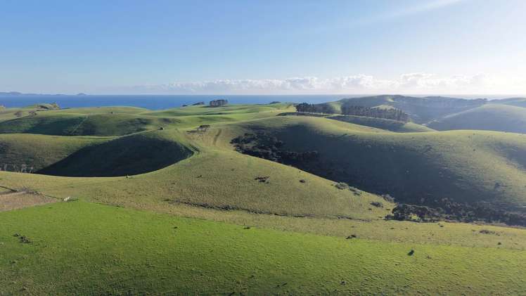 1811 Rangihoua Road Kerikeri_22