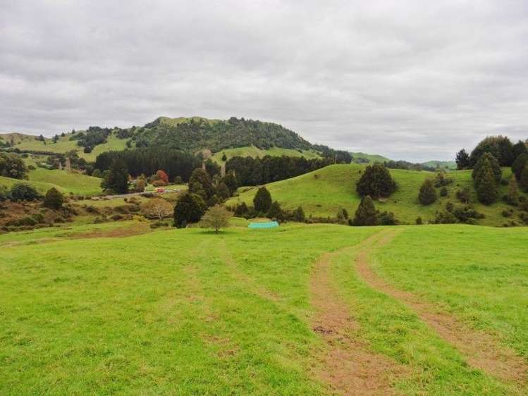 2837 State Highway 4 Aria_7