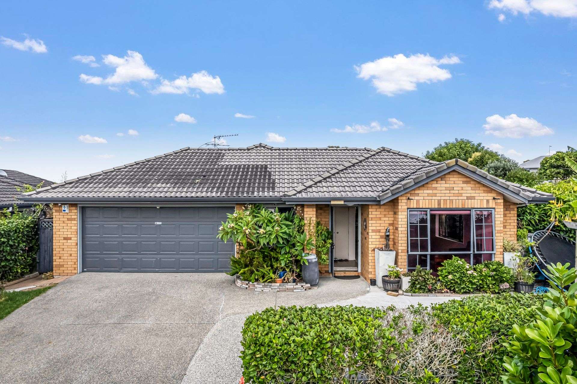 54 Magic Way Randwick Park_0