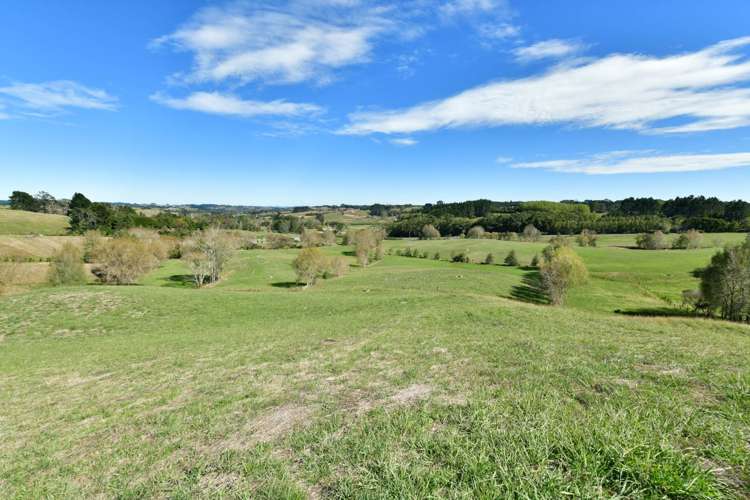 323 Kahikatea Flat Road Waitoki_44