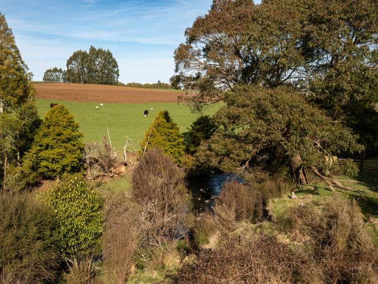 State Highway 4 Owhango_5