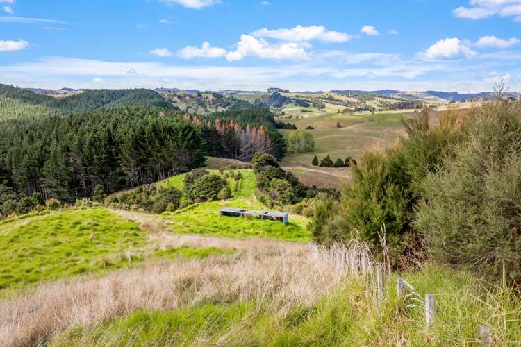 808 Kaipara Hills Road Warkworth_11