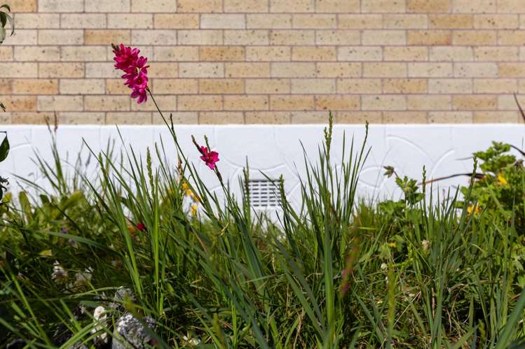 15 Mary Street Huntly_23