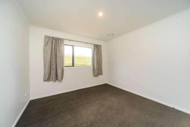 149 Albert Road Palmerston North Central_2