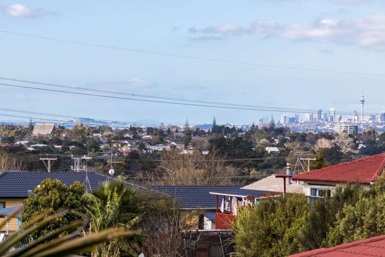 22 Exotic Place Massey_6