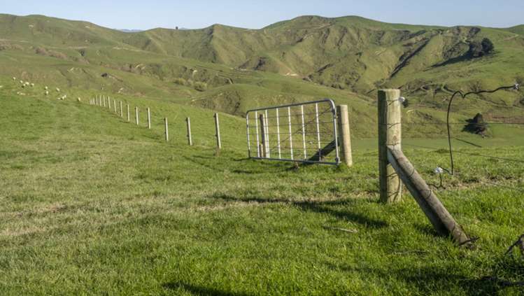 419 Daggs Road Bideford_14