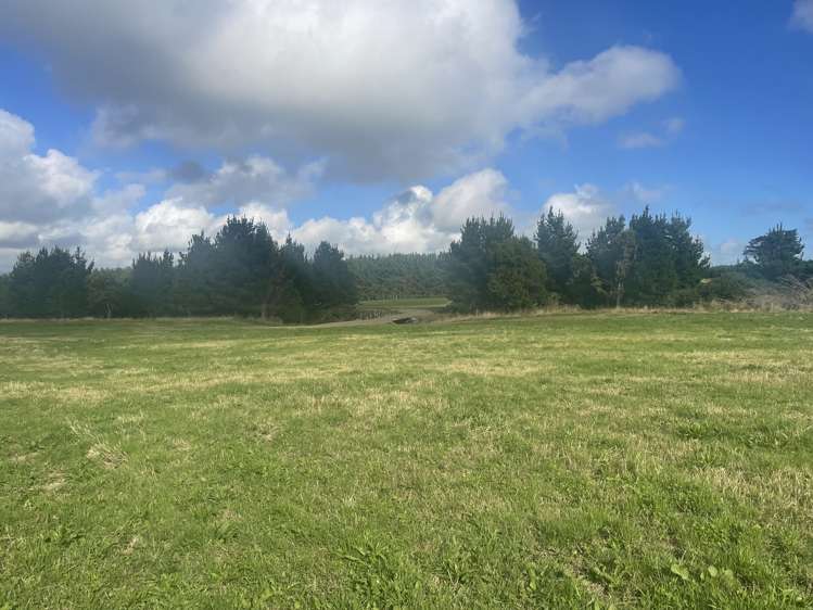 398 Wiremu Road Te Kiri_1