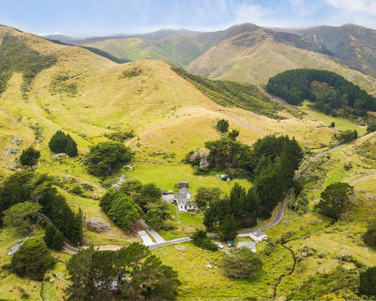 509 South Makara Road Makara_5