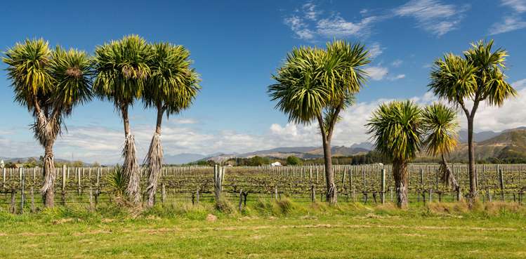 15 Boyces Road Rapaura_10