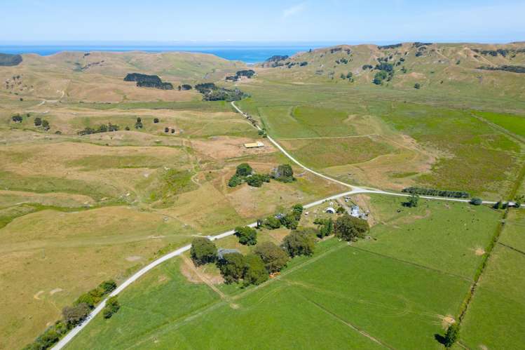 603 Te Akau South Road Te Akau_3