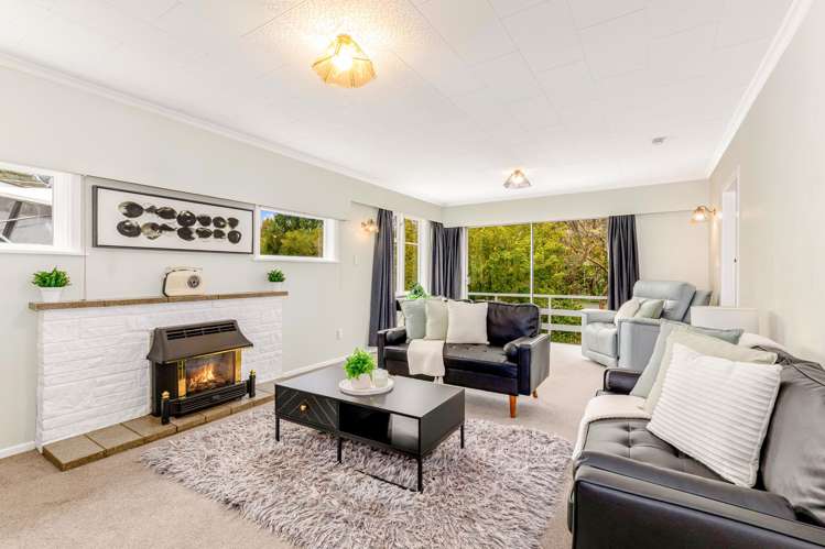 46 Bridge Road Birchville_7