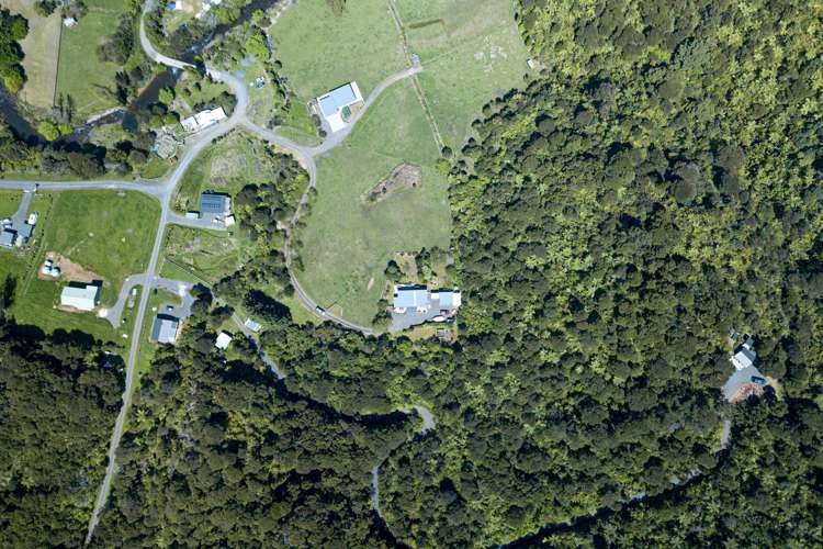 5 Tapu Creek Farms Tapu_32