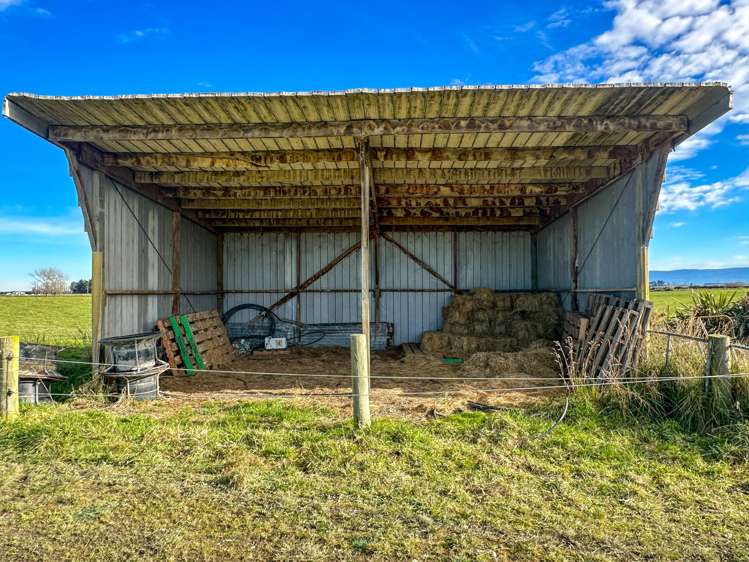 488 Thornbury Waimatuku Road Thornbury_16