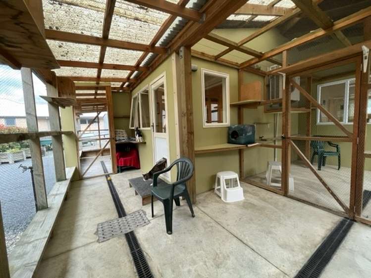 10 Constitution Avenue Milton_14