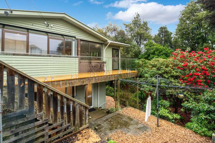 181 Evans Street Opoho_24