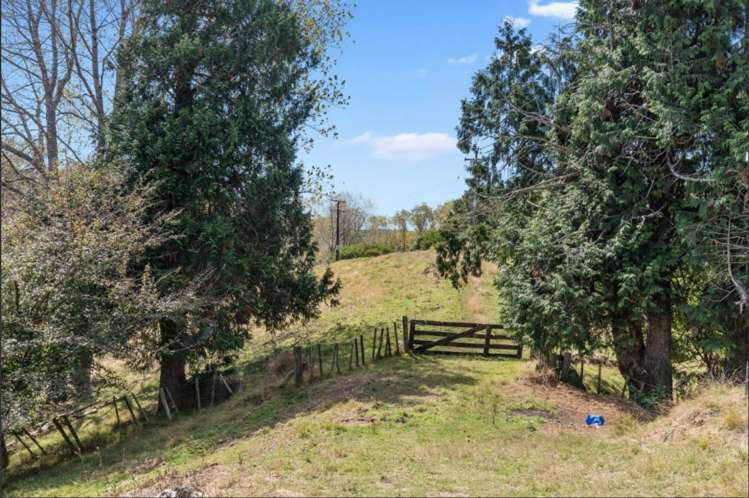 1899a State Highway 23 Whatawhata_15