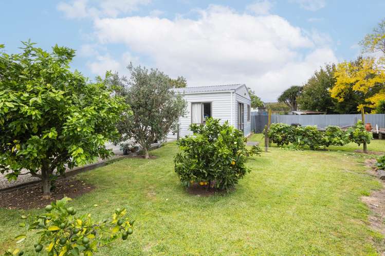 60 Centennial Crescent Te Hapara_17