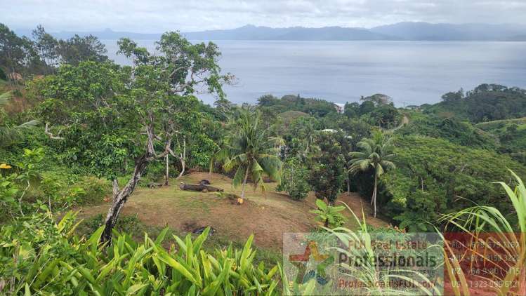 Address withheld Savusavu_16