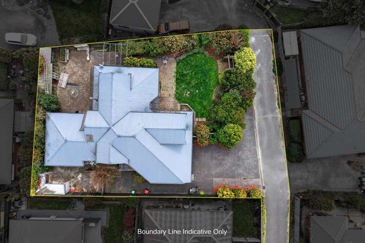 55 Lowry Avenue Redwood_22
