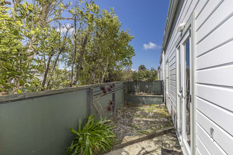 4/25 Mana Street Vogeltown_13