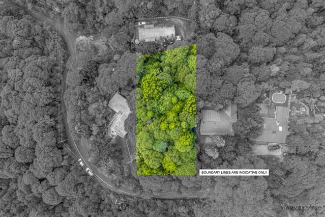 82 Mountain Road Henderson Valley_1