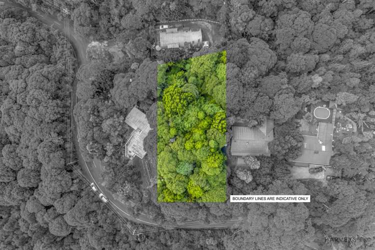 82 Mountain Road Henderson Valley_1