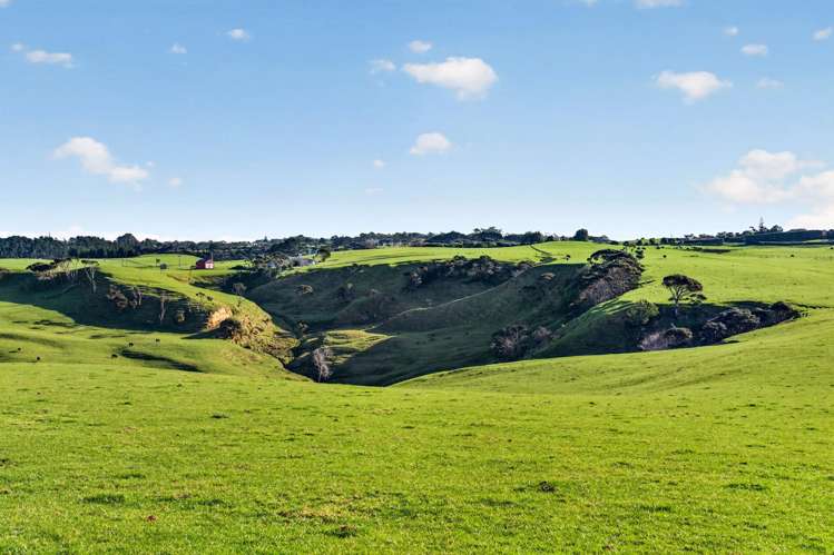 55 Coster Road Muriwai_10
