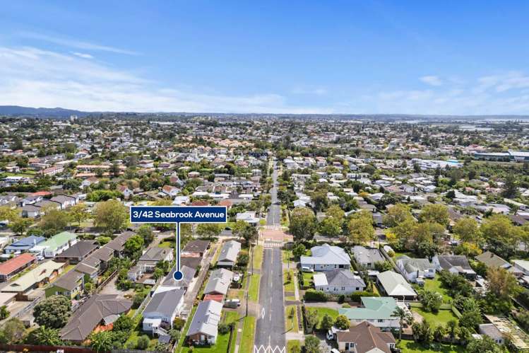 3/42 Seabrook Avenue New Lynn_17