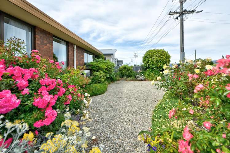 115 Broughton Street Gore_7