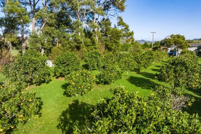 52B Hooks and Halls Road Waimamaku_2