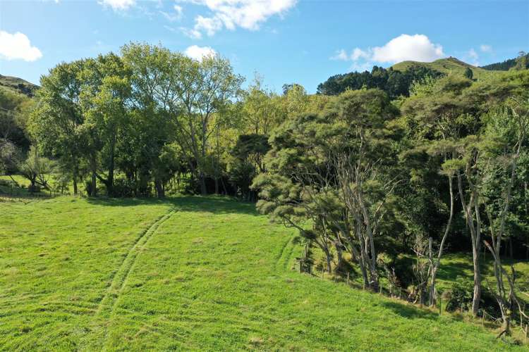 24b Cogswell Road Raglan_7