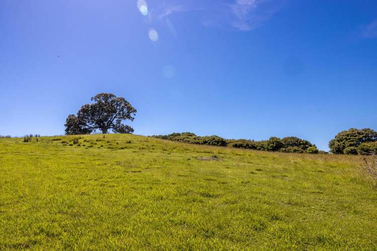 32A Donald Bruce Road Kennedy Point_12