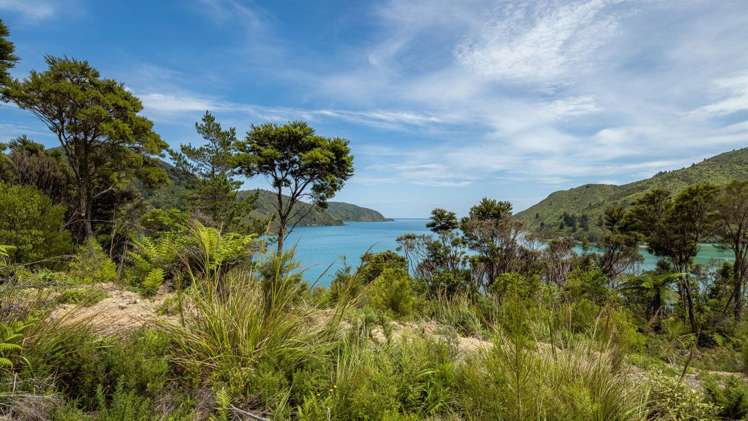 Lot 1 Croisilles-French Pass Road Okiwi Bay_9