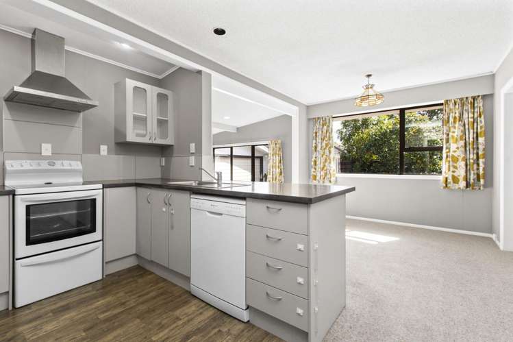 4 Winstone Avenue Chartwell_18