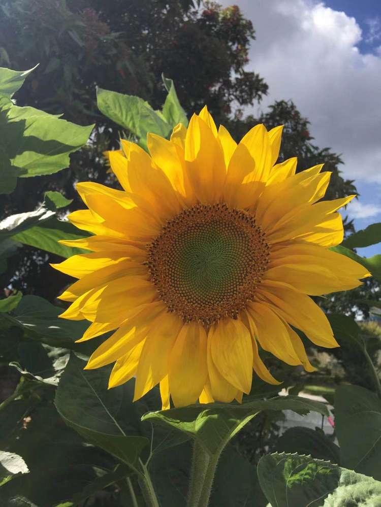 10 Te Kanawa Crescent Henderson_21