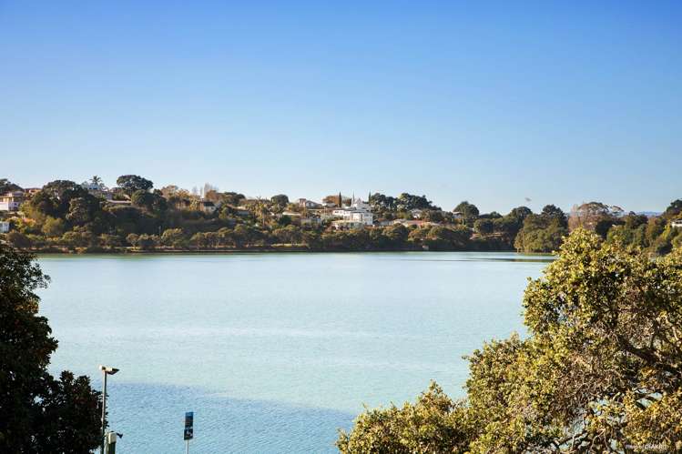 90B Ireland Road Panmure_23