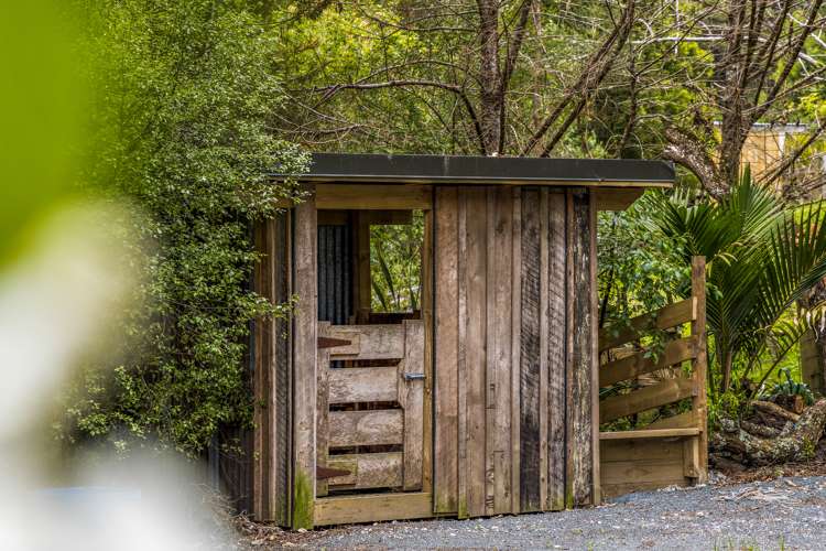 1021 Woodcocks Road Kaipara Flats_28