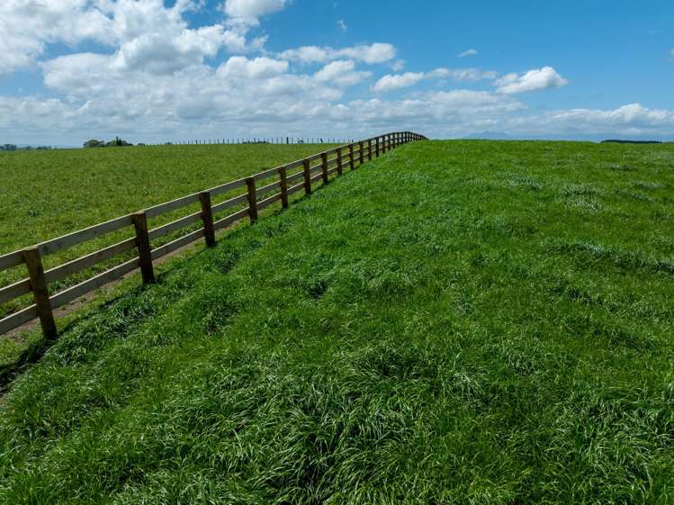 117 Manion Lane Morrinsville_6