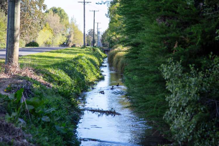 105 Jacksons Road Ohoka_24